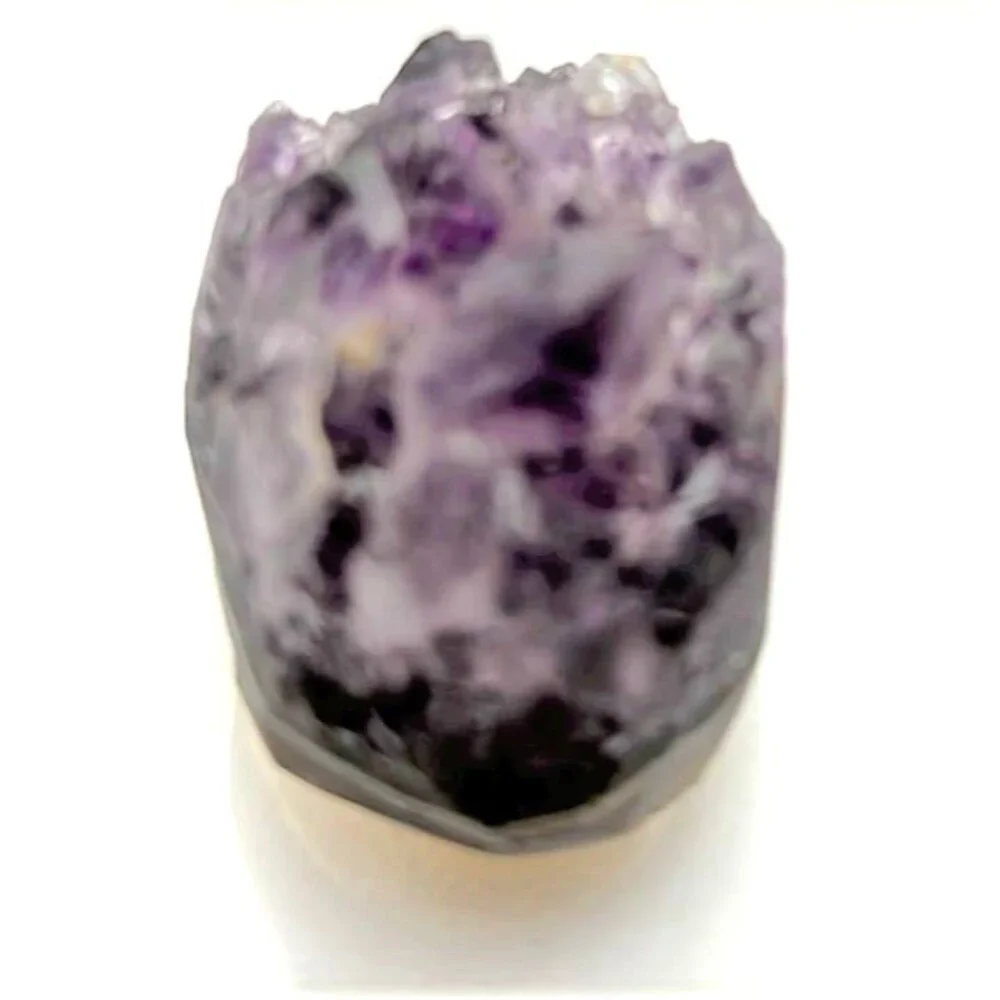 Adorable Amethyst Hedgehog